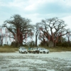 Baines Baobabs, Nxai Pan NP
